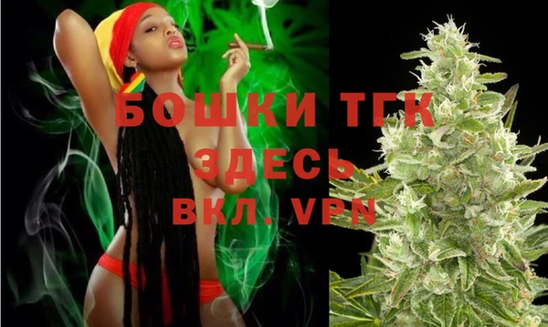 тгк Абинск
