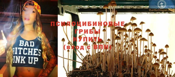 тгк Абинск