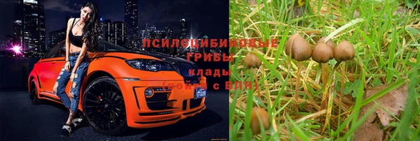 каннабис Абаза