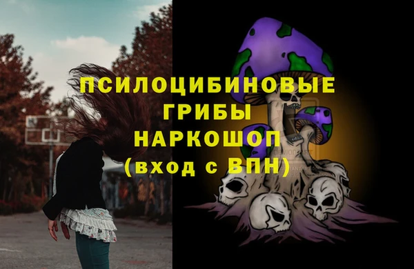 тгк Абинск