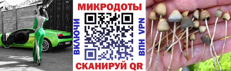 Псилоцибиновые грибы ЛСД  Пугачёв 