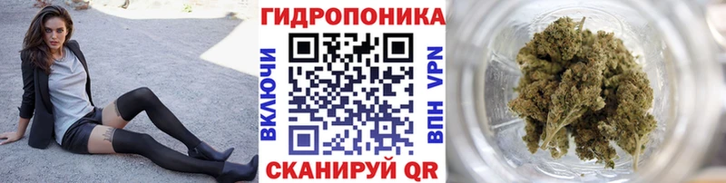 hydra маркетплейс Пугачёв Шишки марихуана OG Kush